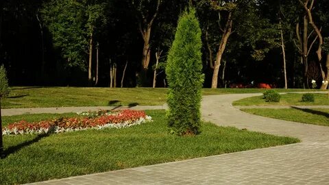 Платон парк тула