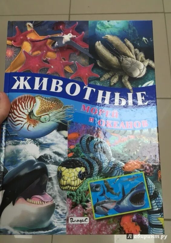 "морские обитатели". Подводный мир энциклопедия для детей. Книги про морских обитателей для детей. Морские обитатели детская энциклопедия владис. Аквариумные рыбки.