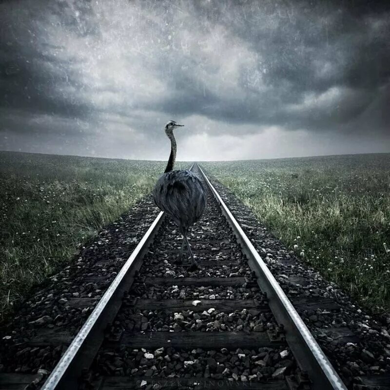 Пустота. Пустота фон. Красивая пустота. Шизофрения демотиватор. Пустота вокруг.