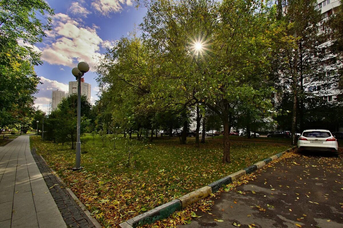 Аллея б. Аллея в москве. город московский аллея. улица москвы аллея. ореховая аллея белокуриха.