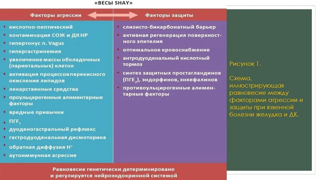 Язвенная болезнь желудка факторы агрессии и защиты. Факторы агрессии и защиты слизистой оболочки желудка. Факторы агрессии язвенной болезни желудка. Факторы агрессии и факторы защиты.