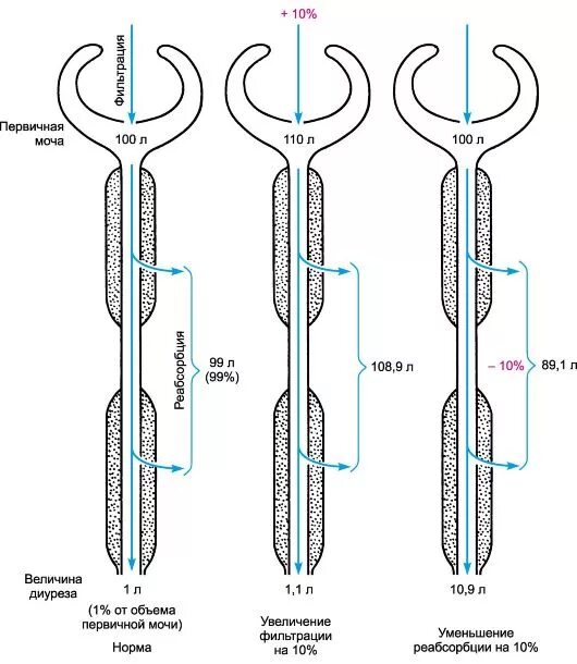 усиление фильтрации