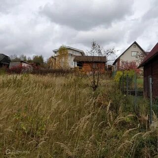 Снт грачи
