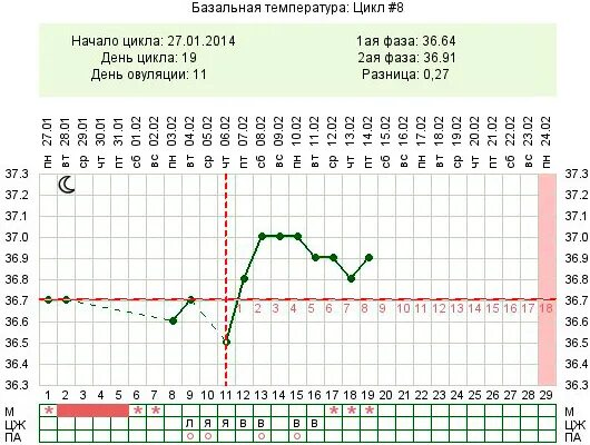 4 5 день цикла