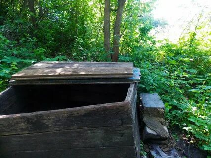 Село криница воронежская область