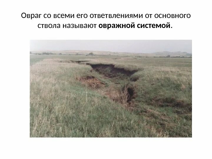 Какие меры борьбы с оврагами. Борьба с оврагами. борьба с эрозией почв. восстановление оврага. способы борьбы с оврагами.
