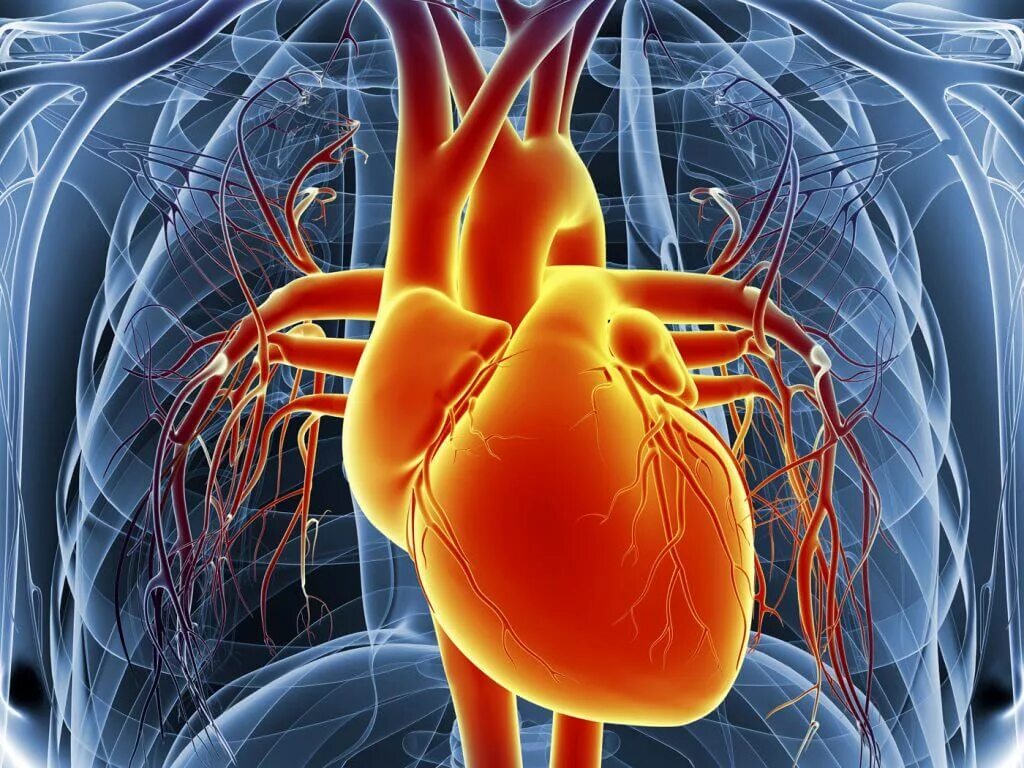 Заболевания сердечной системы. Заболевания сердца и сосудов. Кровообращения патология ССС.