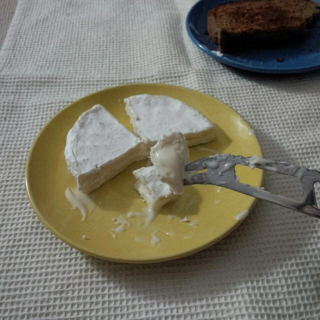 Запечь сыр с плесенью. Сыр с плесенью на тарелке. Сыр с белой плесенью. Мороженое с сыром с плесенью. Творожный сыр с плесенью.