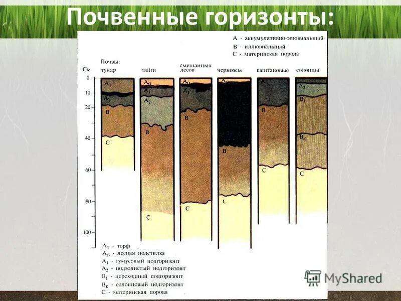 3 горизонты 4 и 5. Почвенный горизонт в кировской области. почвенные горизонты таблица 8 класс география. почвенные горизонты таблица. гумусовый горизонт почвенный разрез.