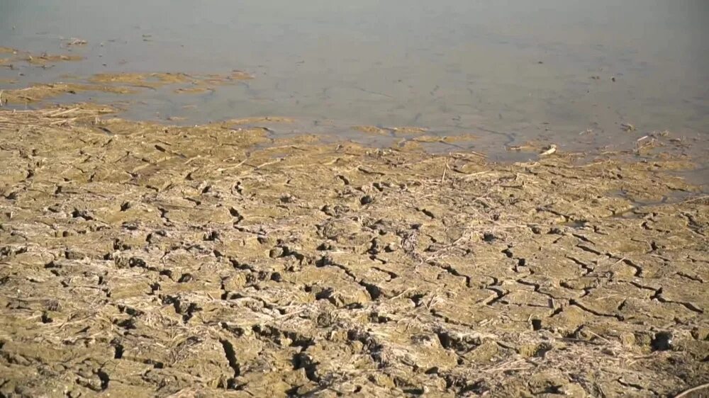 Уровень воды астрахань в 2024. Воды Астраханской области. Обмеление Каховского водохранилища из космоса. Плохая вода Астрахань. Нехватка воды в Узбекистане Арал.