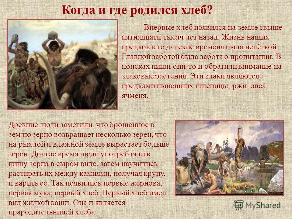 хлеб появился 15 тысяч лет назад. хлеб для презентации. когда впервые появился хлеб. как хлеб появился на нашем столе. история хлеба.