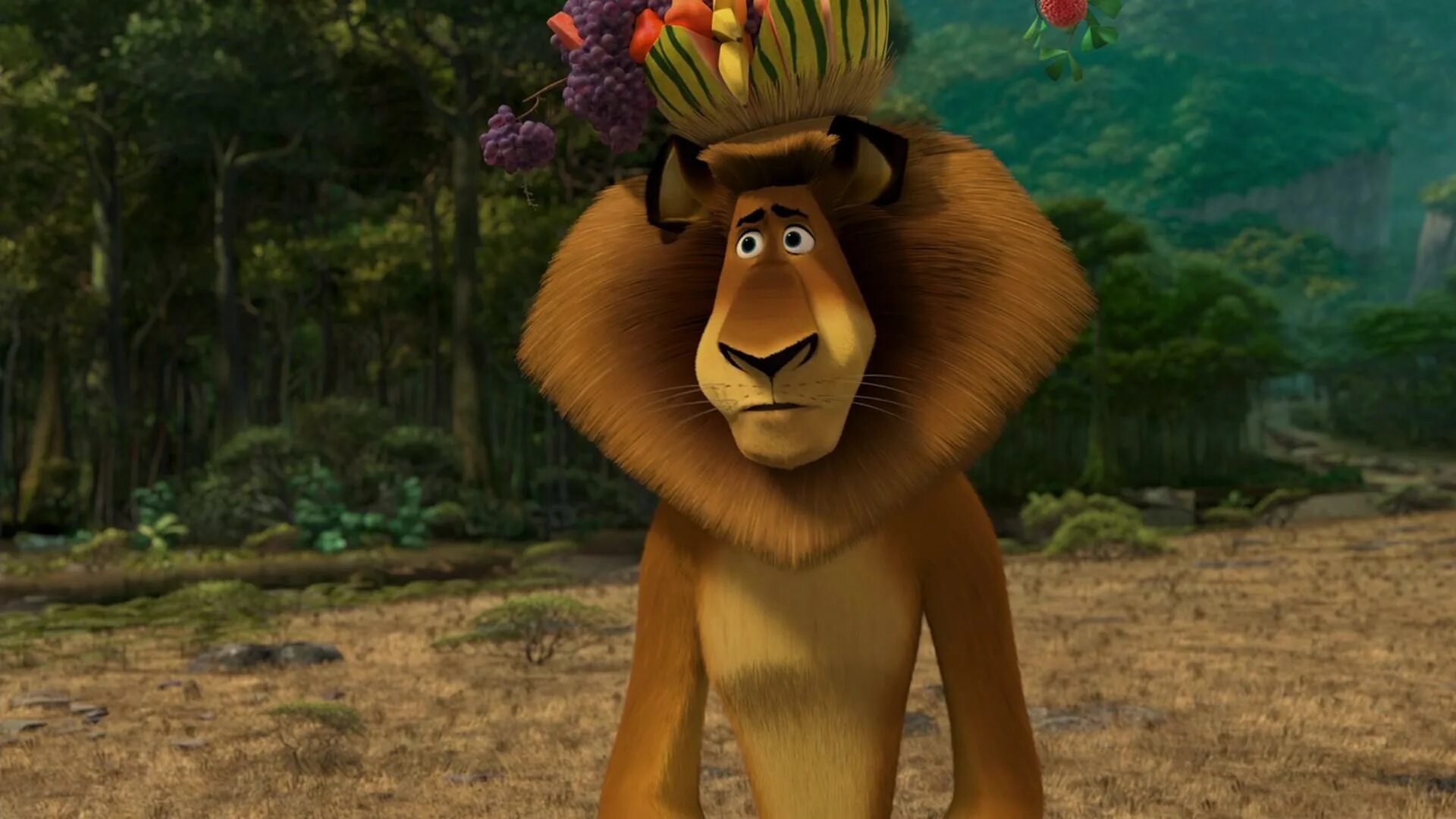 любимая песня мадагаскар. любимая песня мадагаскар. алекс и марти мадагаскар 2. мадагаскар 3 марти. мадагаскар 1 2005.