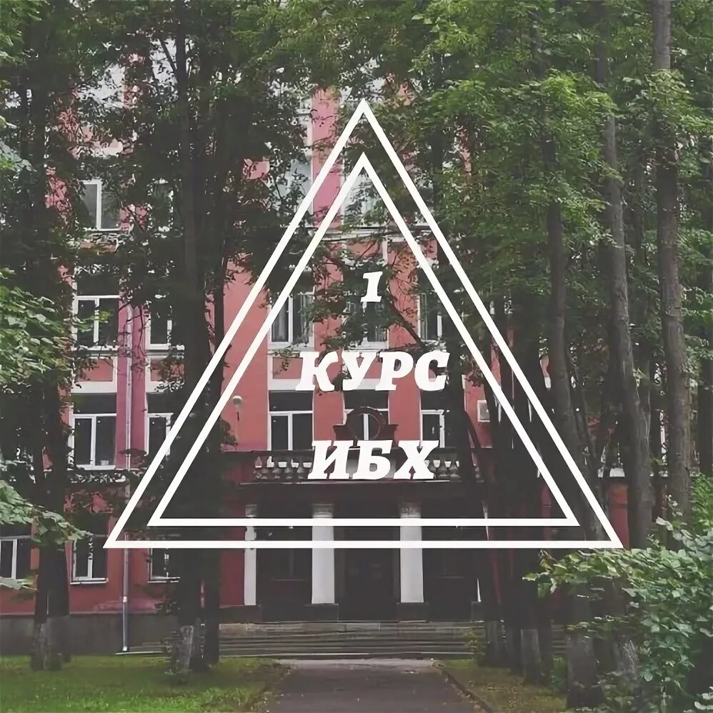 Ибх мпгу. Ибх мпгу