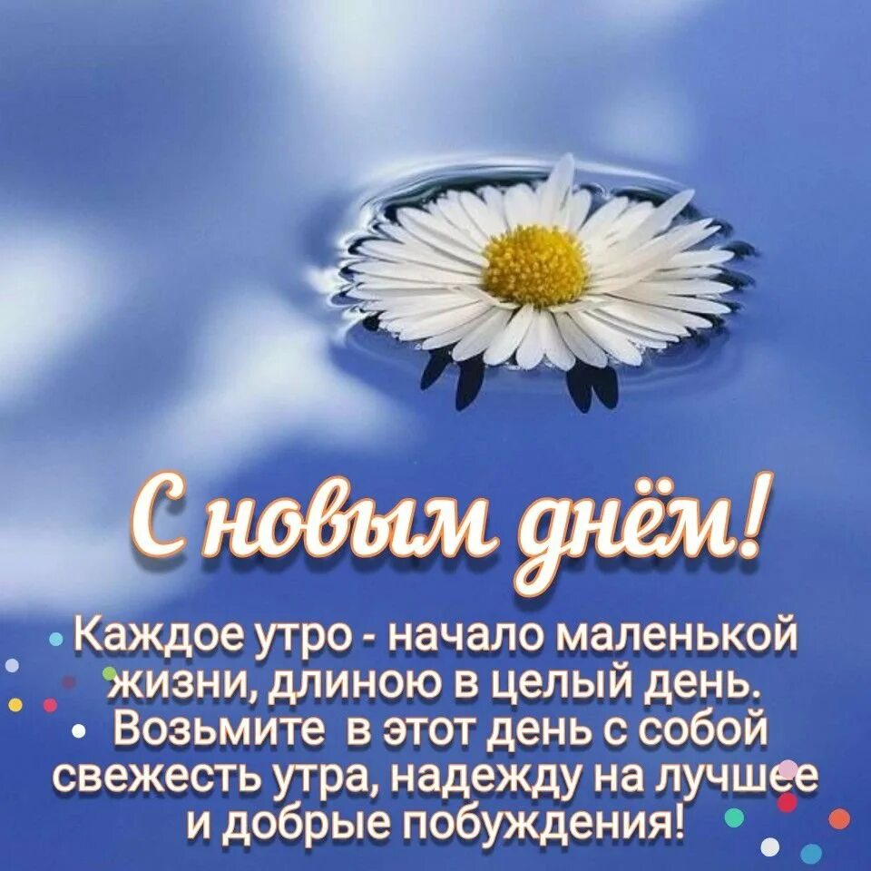 Мирного доброго утра картинки и хорошего дня. Добрые слова с добы мтром. Открытки с добрым утром. Слова с добрым утром. Добрые слова с добрым утром.