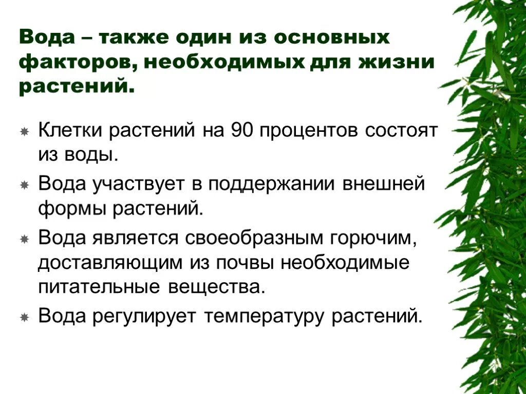 Влияние воды на растения. Факторы жизни растений. Условия жизни растений. Условия необходимые для жизни растений.