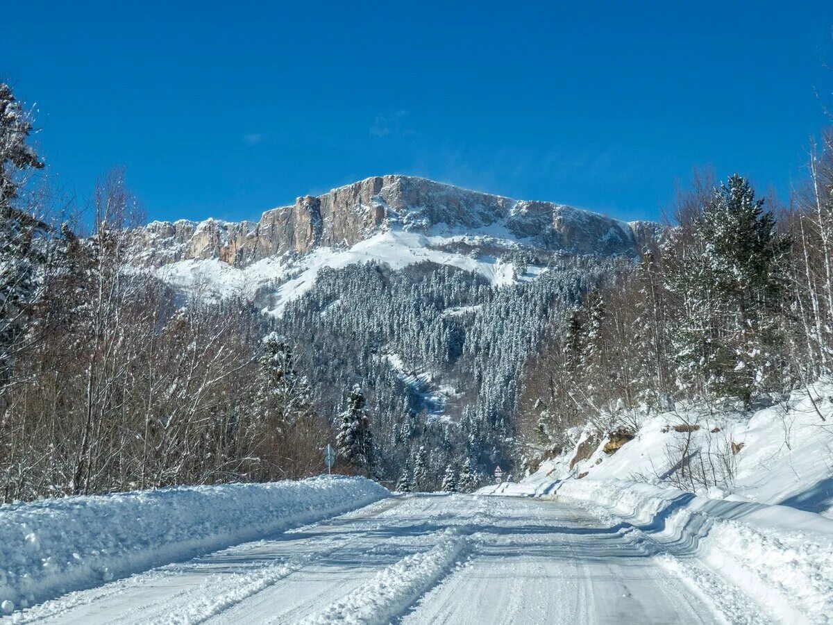 Гузерипль зимой. Гузерипль адыгея зима. Гузерипль зимой заповедник адыгея. Гузерипль зимой. Абаго адыгея зимой.