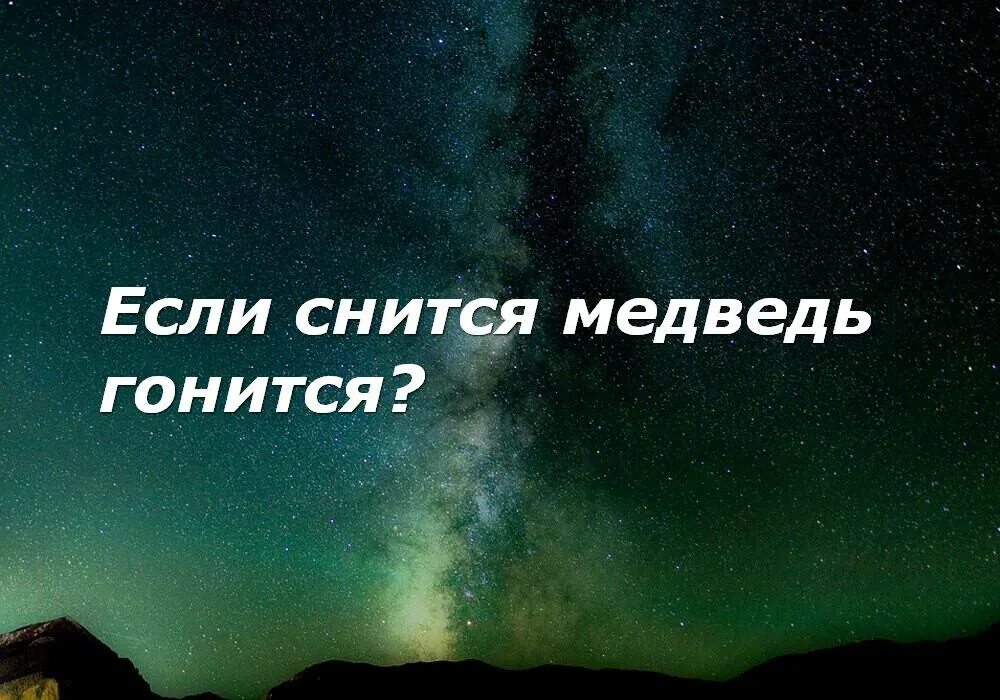 Сонник медведь к чему снится женщине. Что если снится медведь. Приснился медведь к чему. Медведь во сне к чему снится. Во сне медведь приснился к чему.