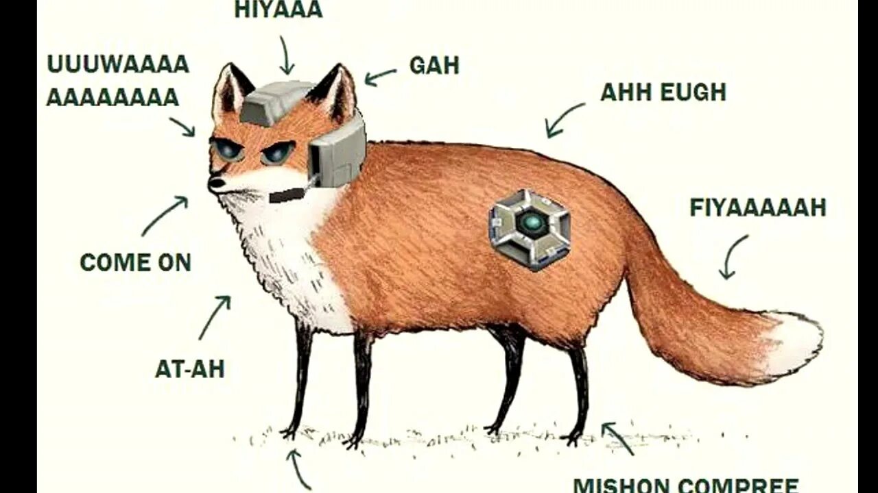 Рассказ о лисице. Лисичка передала. Лисий перевод. Лисий перевод. Баобей геншин.