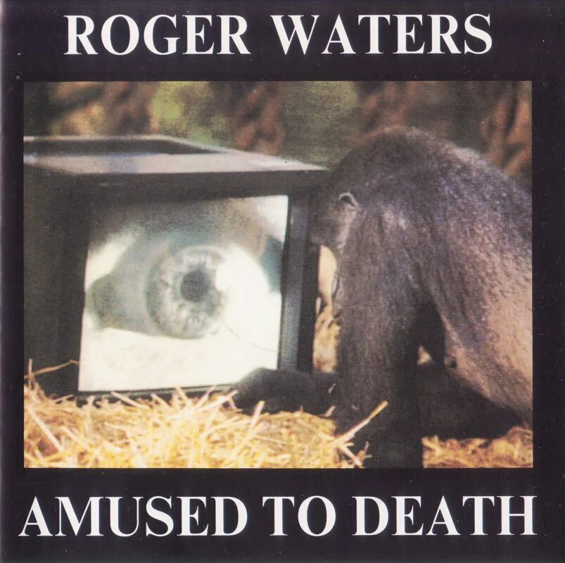 Amused to death. Roger Waters amused to Death 1992. Amused to Death Роджер Уотерс. Roger Waters альбомы. Roger Waters - amused to Death 1992 обложка альбома.