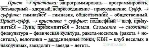 Русский язык 6 класс упр 395 ладыженская