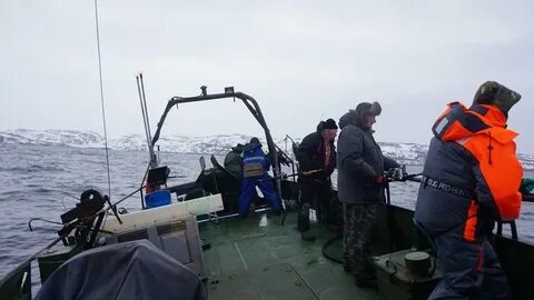 Рыбалка в териберке на треску