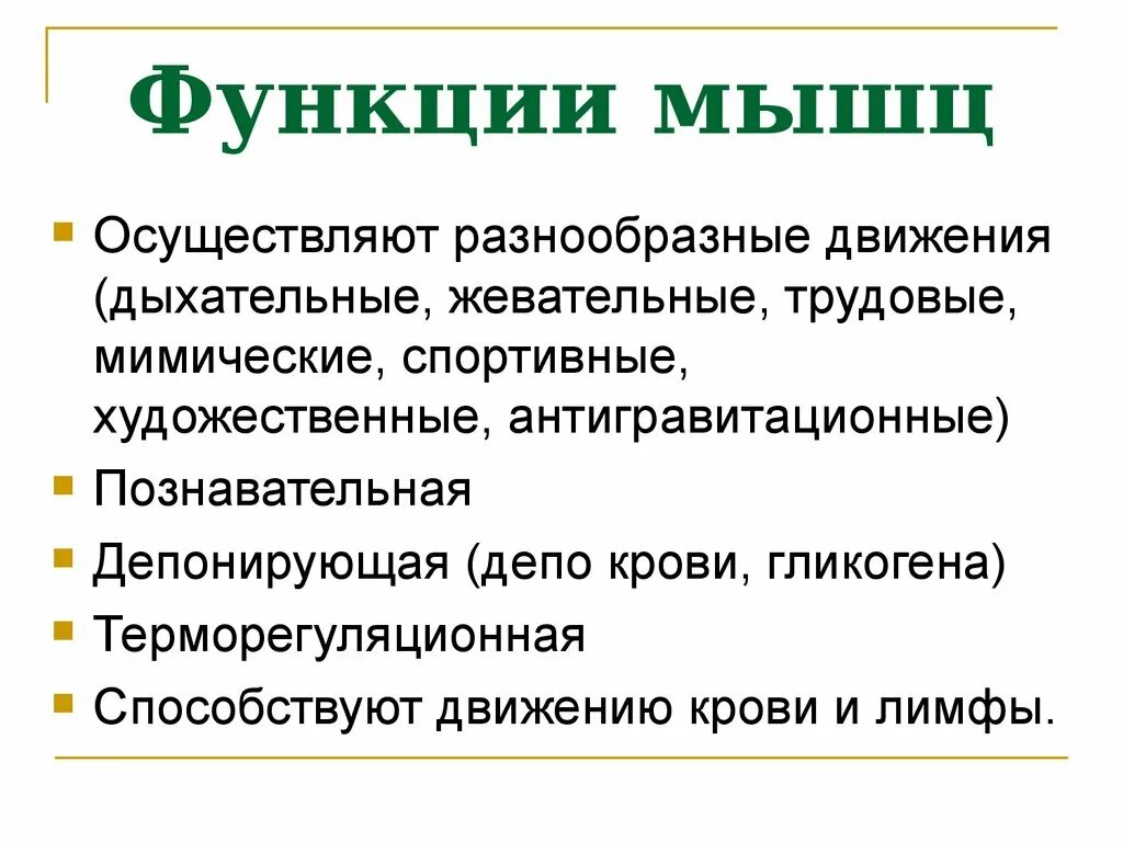 Назовите функции мышц