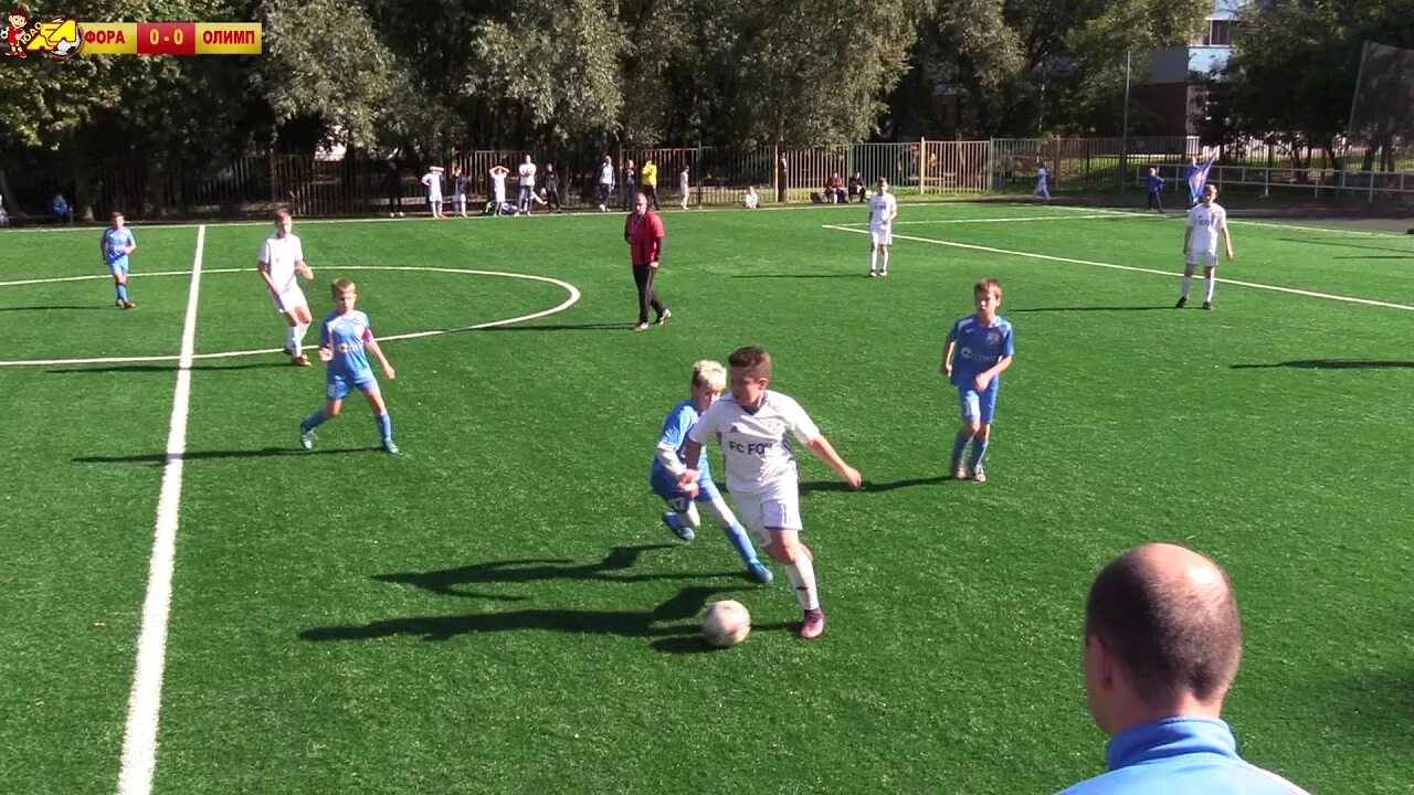 Длфл курск. Олимп фактум. длфл курск 201213. длфл. олимп фора.