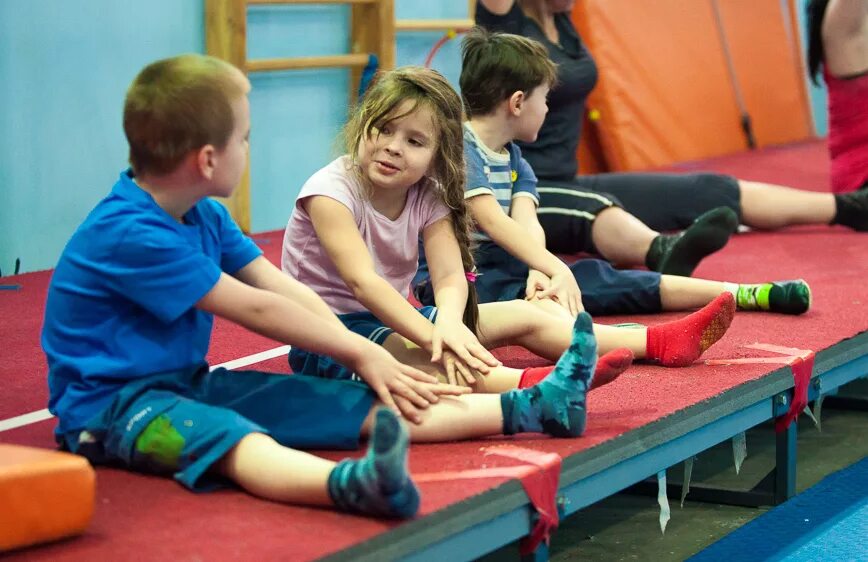 Спортивные кружки и секции. Картинка отбор детей. Художественная гимнастика дети. Отбор детей в секции. Баскетбольный лагерь ibasket pro.