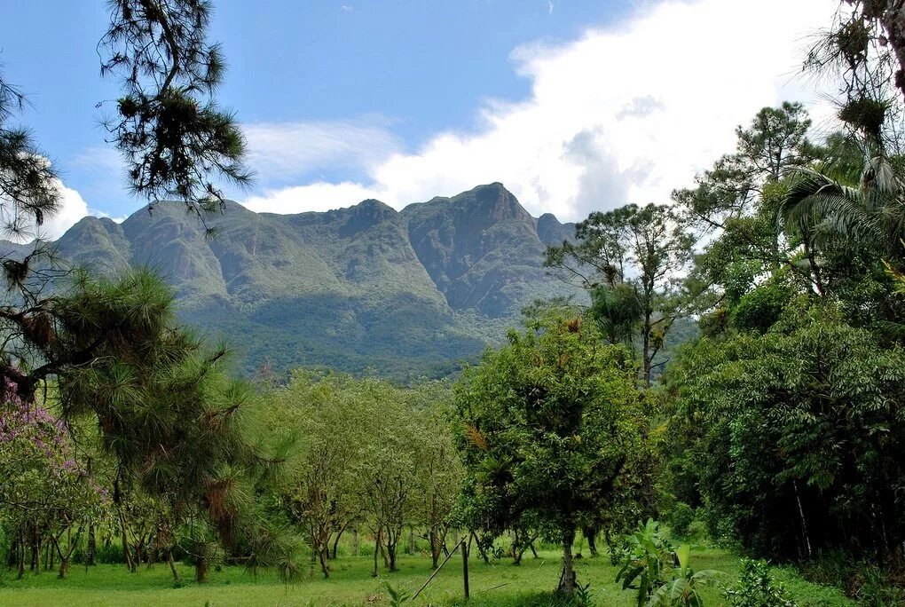 Гора серро-перо. Серро ларго тукуман. Серро ларго тукуман. Горная экосистема серра-ду-мар. Природа и климат индии.