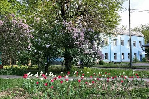 Гбуз научно практический центр им сухаревой
