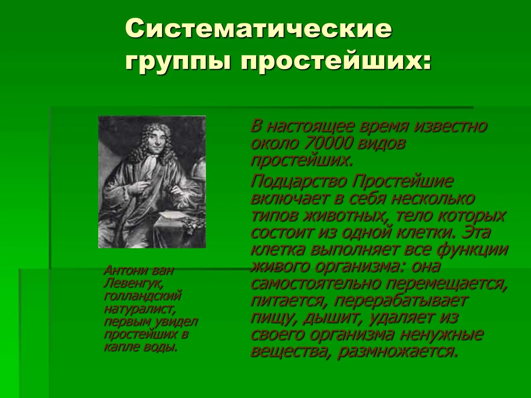 Какие есть группы простейших. Систематические группы простейших. Группы простейших. Систематические группы животных типа простейшие. Тип простейшие систематические группы простейших.