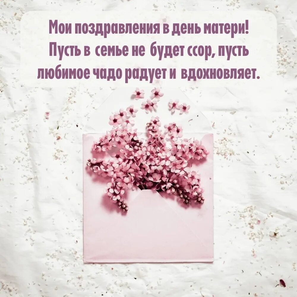 День пресыщения 25 ноября. День мусса 30 ноября картинки с надписями. день начинки 21 ноября картинки с надписями. день заквашивания ,11 ноября картинки с надписями. 19 ноября день брызг картинки с надписями.