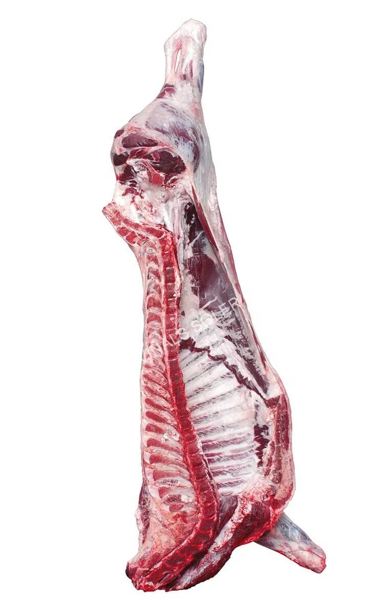 говядина тушах полутушах