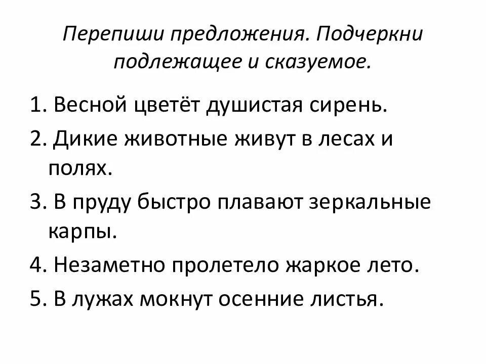 Спиши текст подчеркни в предложениях главные. Задание подлежащее сказуемое 2 кл. Предложения 2 класс подлежащее и сказуемое. Задание по русскому подлежащее и сказуемое. Подлежащее и сказуемое 1 класс упражнения.