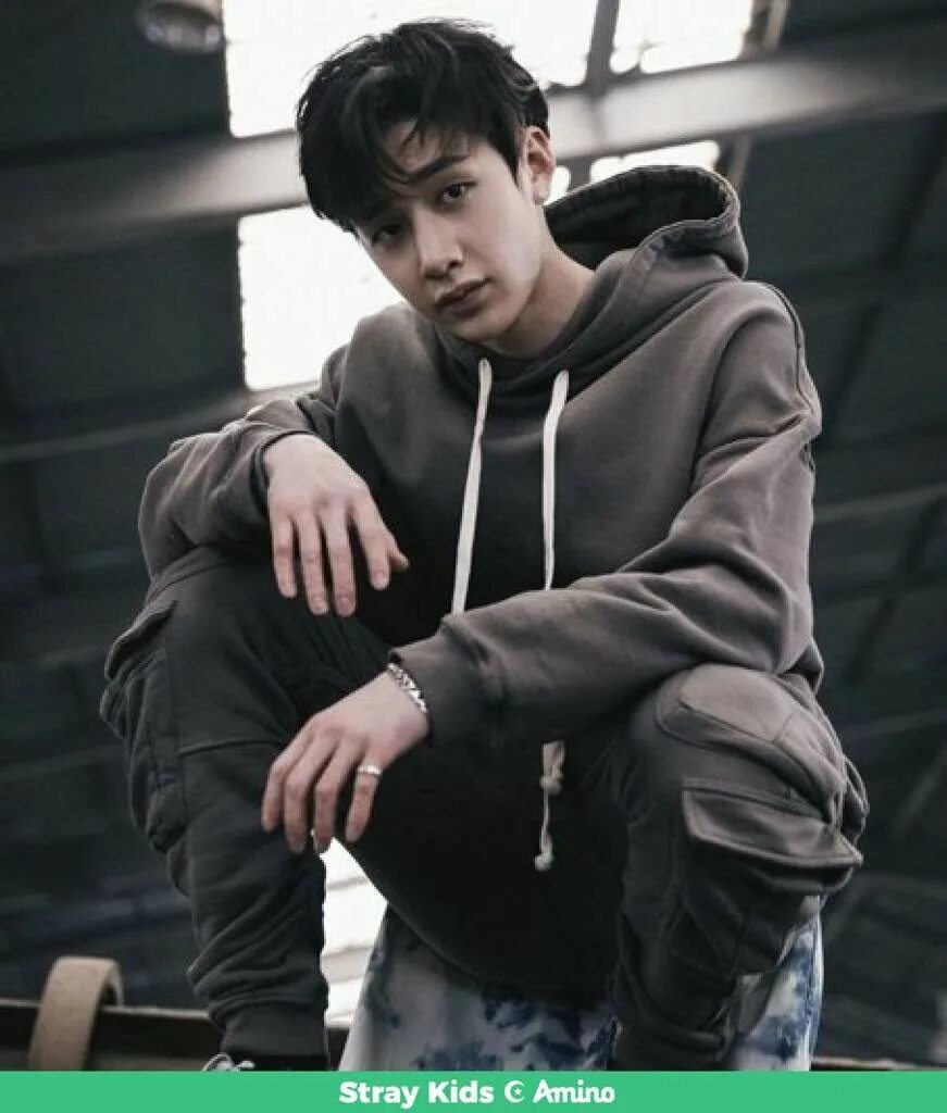 Как зовут бан чана. Бан чан stray. кристофер банч stray kids. банчаны stray kids. бан чан из stray kids.