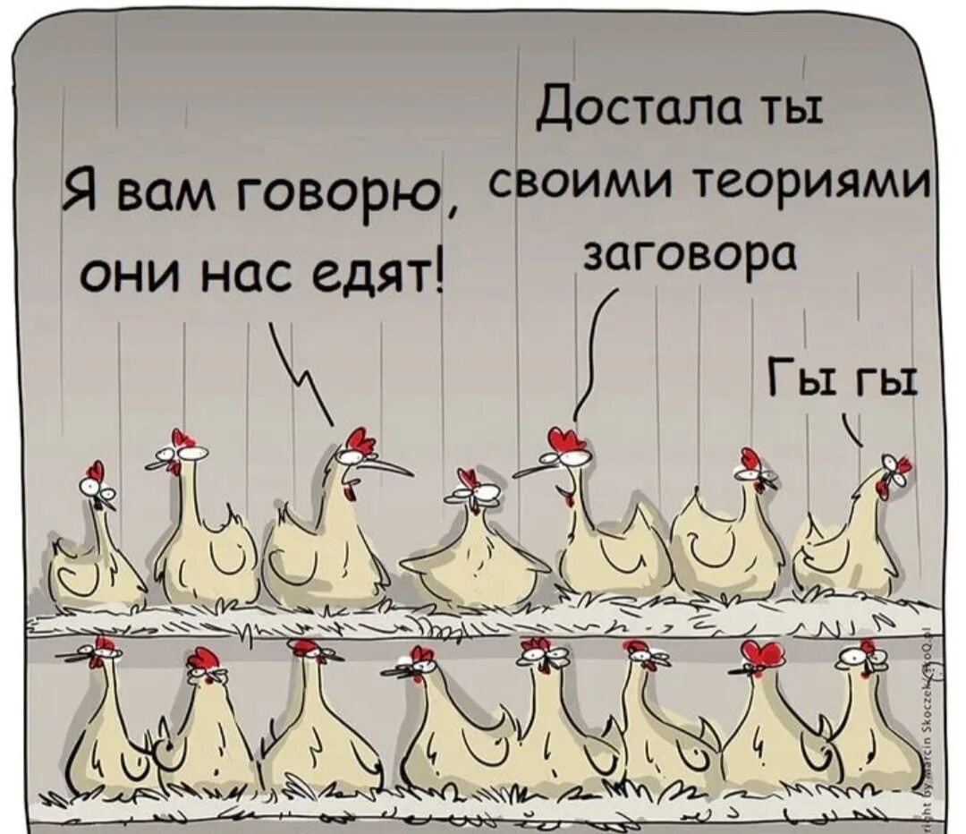 Теория заговора как называется. Мемы про теории заговора. шутки про теорию заговора. смешные теории заговора. теория заговора карикатура.