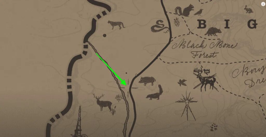 Рдр 2 где пумы. Пума рдр 2. рдр 2 пума на карте. red dead redemption 2 шкура пумы. спавн пумы в рдр 2.