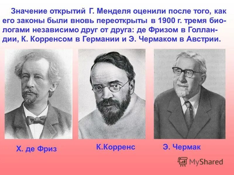 Де фриз корренс чермак. Эрих Чермак генетика. Переоткрытие законов Менделя. Портрет Корренс. Корренс Чермак и де фриз переоткрыли законы Менделя в.