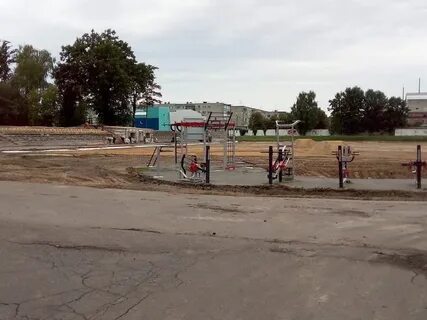Новозыбков фокс