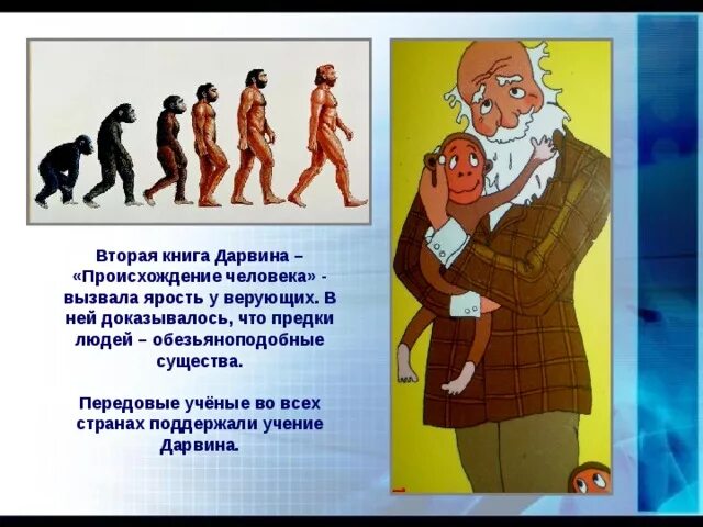 Происхождение человека тест 11 класс. Теория дарвина о происхождении человека. теория дарвина о происхождении человека от обезьян. дарвин происхождение человека. происхождение человека от обезьяны.