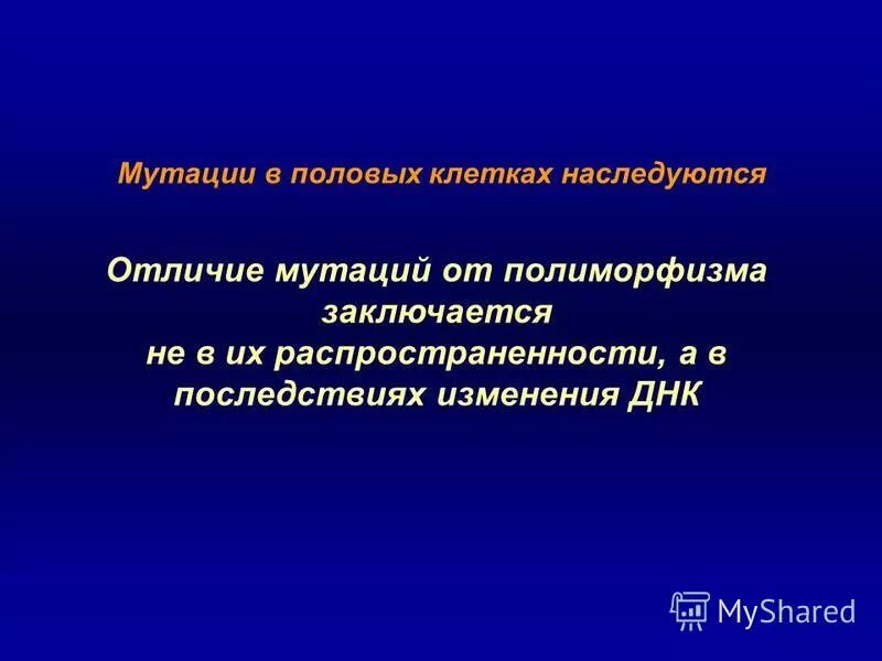 Отличие полиморфизма от мутации. Полиморфизм и мутация различия. Главное отличие мутации от полиморфизма. НИИ экологии человека и гигиены окружающей среды им. а.н. Сысина РАМН. Мутации в отличие от модификаций