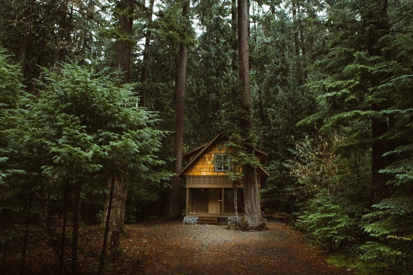 Хижина гномов, Британская Колумбия. Домик «Хижина с кухней» Зион. Forest House Терскол. Парк Монрепо Хижина отшельника.