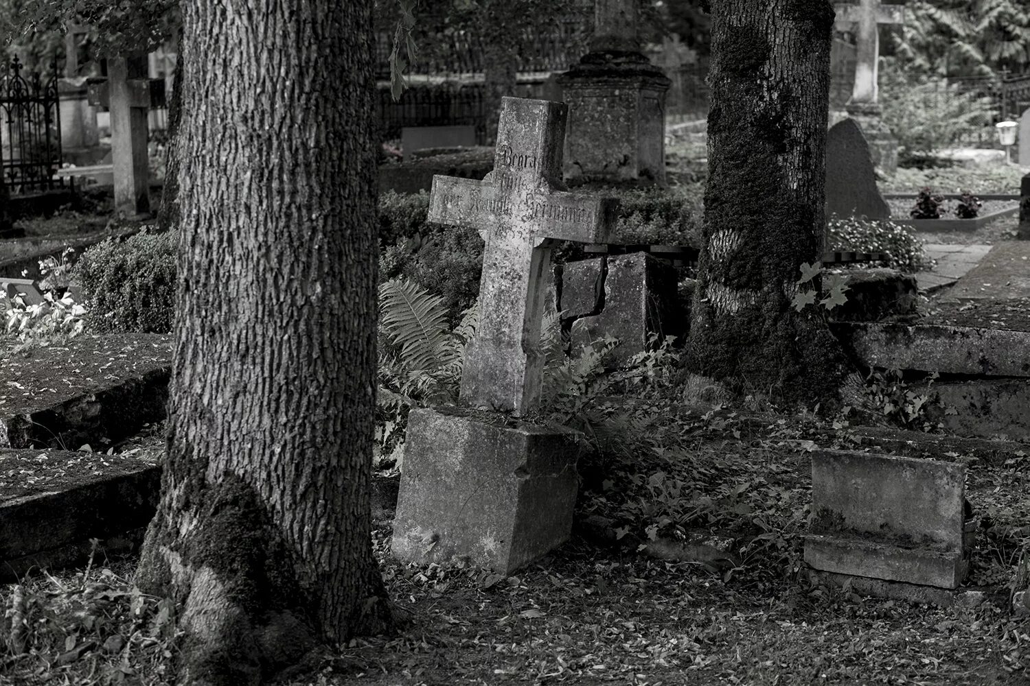 Кладбище флунтерн цюрих. Бывшее кладбище. Кладбище на кутузовском проспекте. Бывшее кладбище. Древние могилы казаков.