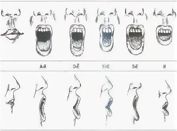 Как правильно открывать рот