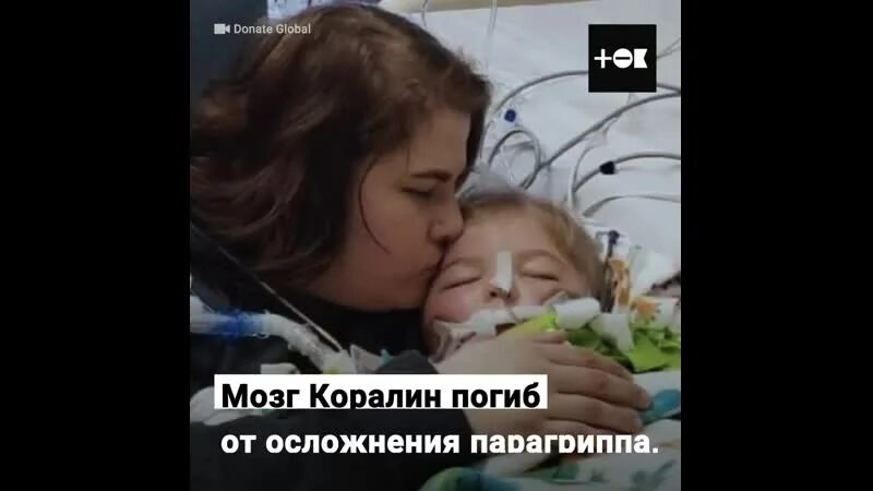 Трогательные видео про. Трогательное видео. Трогательные видео до слёз. Очень трогательное видео.