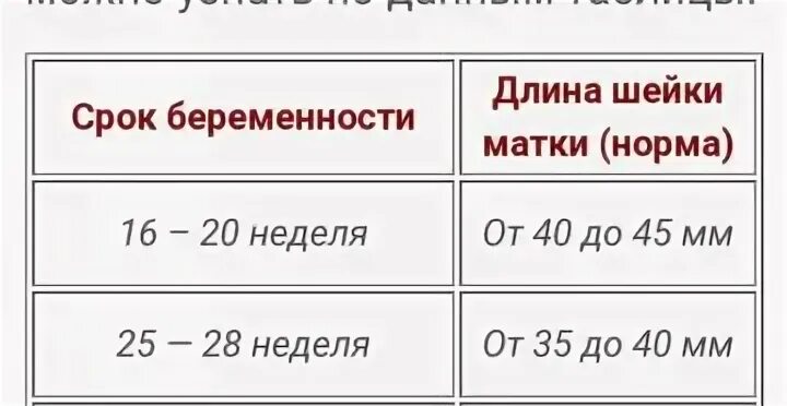 Шейка на 24 неделе. Шейка матки при беременности нлрсы. Норма длины шейки матки при беременности по неделям. Шейка матки 33мм норма. Шейка матки на 24 неделе беременности норма в мм.