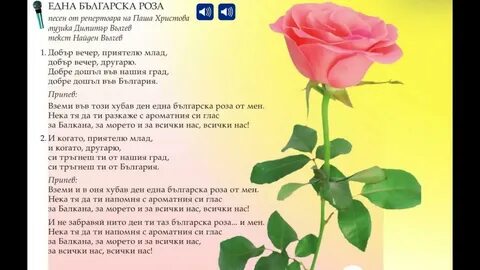 Букеты роз текст песни