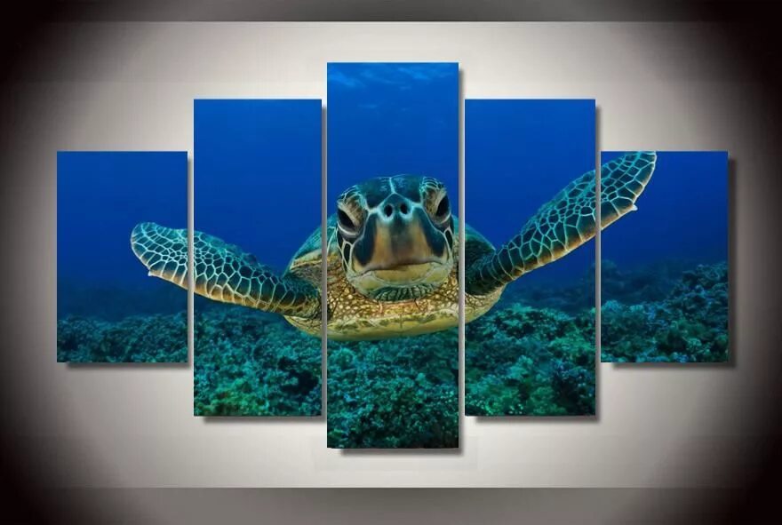 Возможность изображения картинки на экране холста turtle