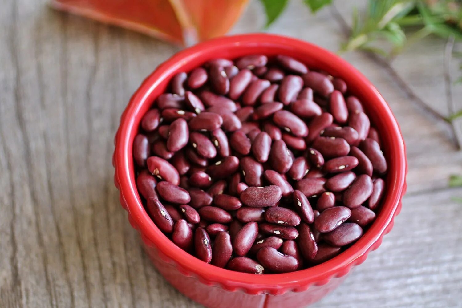 Bean