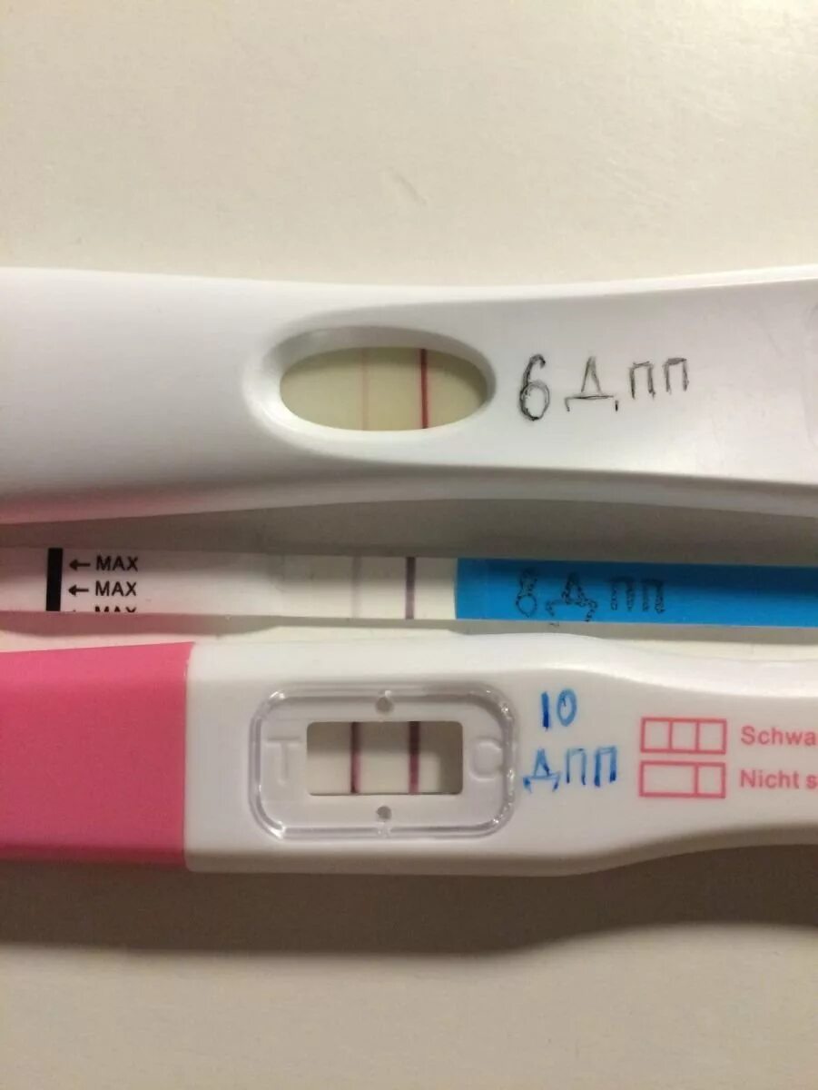 Криоперенос тест отрицательный. 6 ДПП пятидневок тест. 8 ДПП эвитест. 6дпп тест на беременность. Тест на беременность 8 ДПП пятидневок.